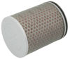 Obrazek HFA1919 HIFLO Filtr powietrza CBR 1000 RR 04-07