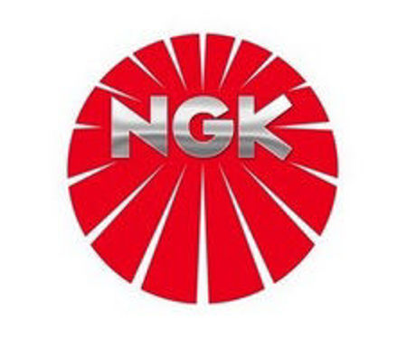 Obrazek dla kategorii NGK