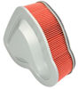 Obrazek HFA1925 HIFLO Filtr powietrza HONDA VTX 1300 03-09