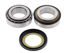 Obrazek All Balls 22-1055 Łożyska główki ramy YAMAHA XP 500 T-Max 09-11, YZF-R6 06-18, FZ1 06-15, YZF-R1 07-18, FZ8 11-16, MT09 13-15