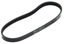 Obrazek 4 PK 592 ELAST Pasek wielorowkowy Continental Contitech 4PK592