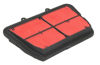 Obrazek HFA6501 HIFLO Filtr powietrza TRIUMPH Tiger 800 11-20