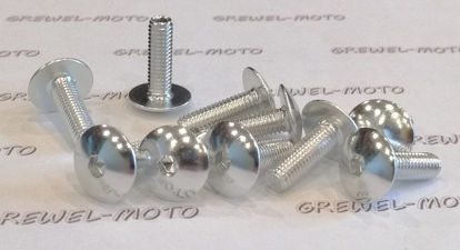 Obrazek Śrubki do owiewek śruba owiewki Aluminium 6/20 gwint M6x1 SREBRNA